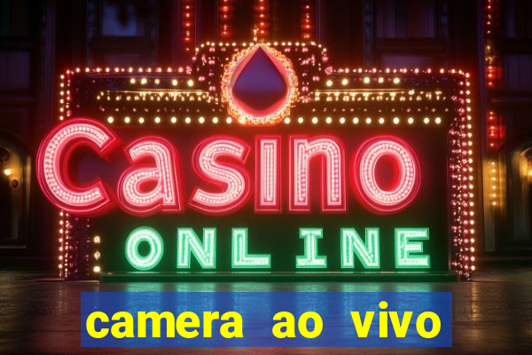 camera ao vivo terminal vila nova cachoeirinha