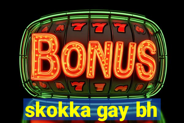 skokka gay bh