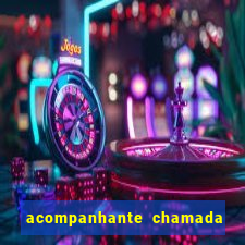 acompanhante chamada de video