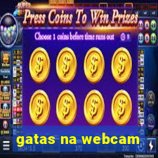 gatas na webcam