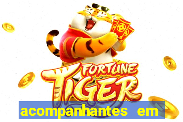 acompanhantes em porto alegre zona norte