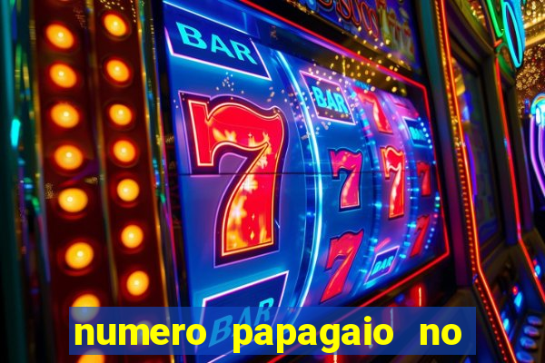 numero papagaio no jogo do bicho
