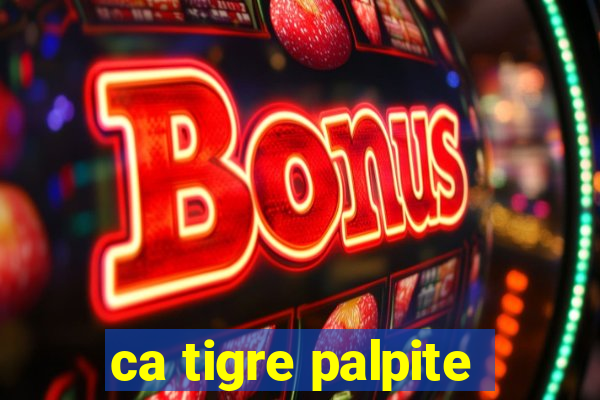 ca tigre palpite