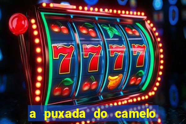 a puxada do camelo no jogo do bicho
