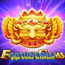 giga bicho lotofacil