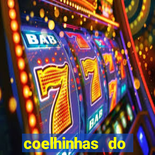 coelhinhas do brasil jp