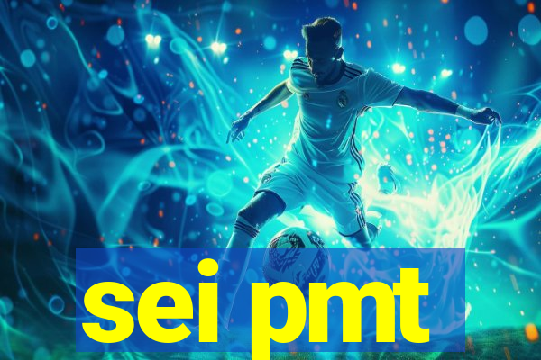 sei pmt