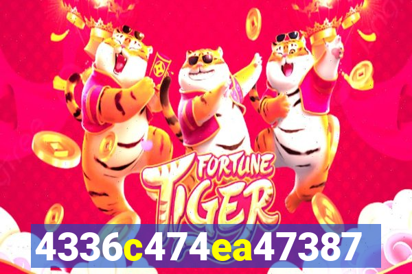 plataforma 6555bet
