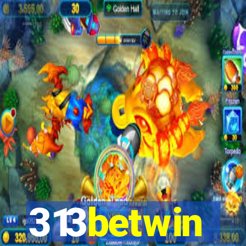 313betwin