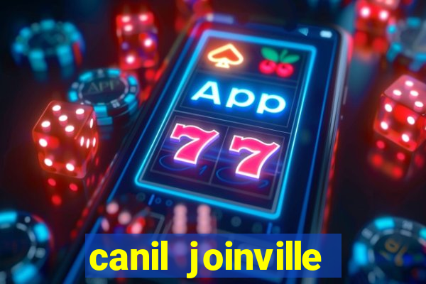 canil joinville vila nova