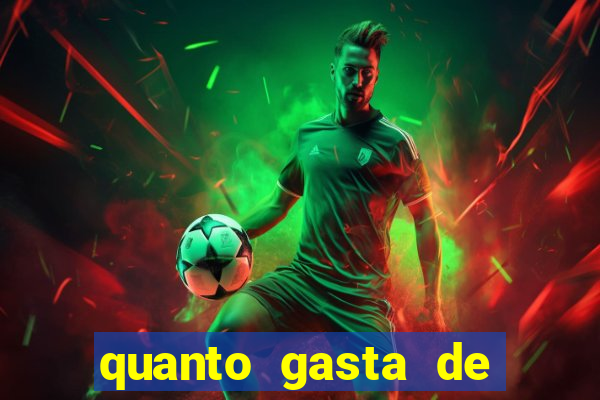 quanto gasta de gasolina de bh a porto seguro