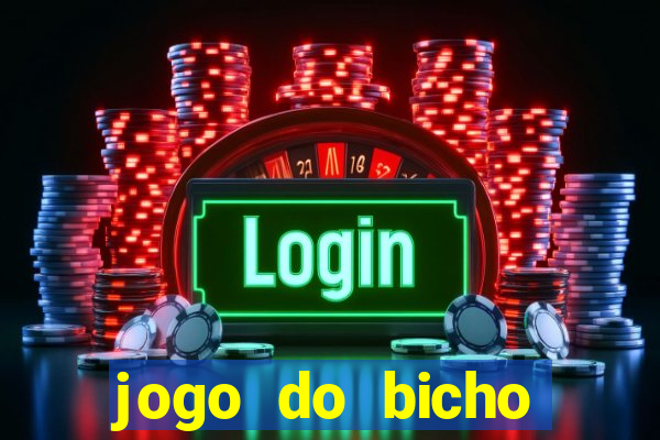 jogo do bicho crash bingo