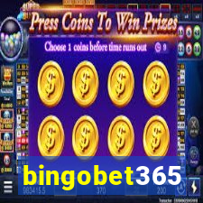 bingobet365