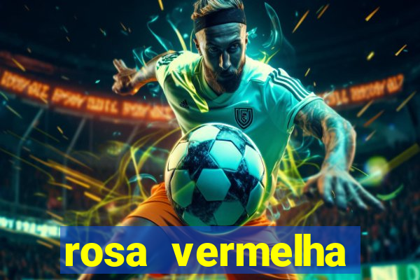 rosa vermelha (letra e cifra)