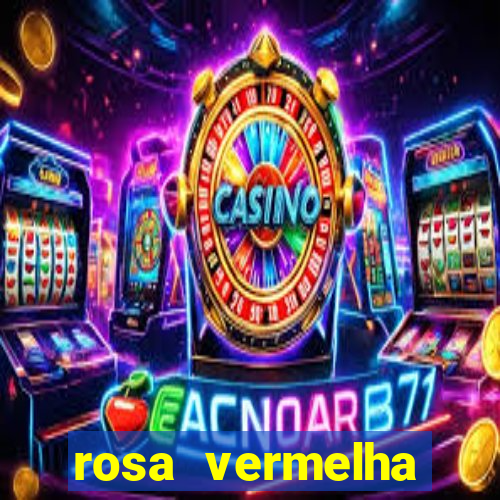 rosa vermelha (letra e cifra)