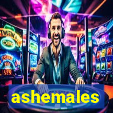 ashemales