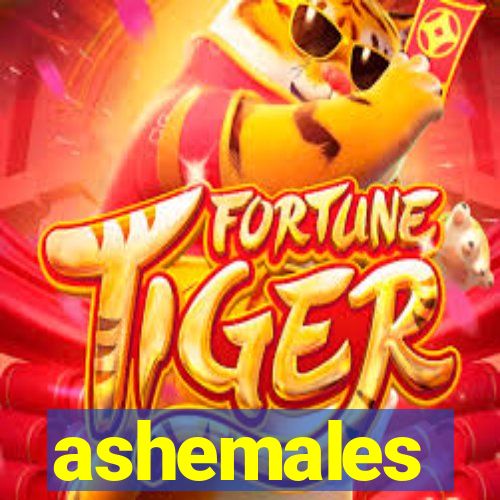 ashemales