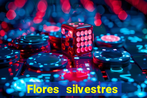Flores silvestres brasileiras 25