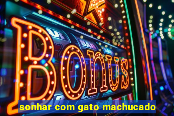 sonhar com gato machucado