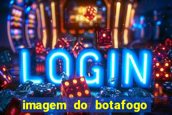 imagem do botafogo zuando o palmeiras