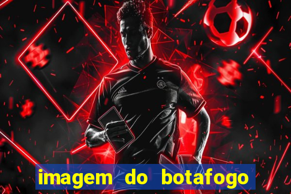 imagem do botafogo zuando o palmeiras