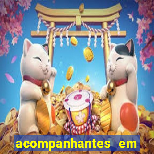 acompanhantes em porto seguro