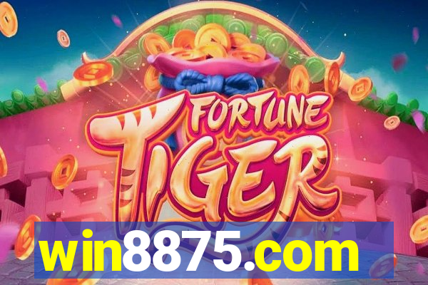 win8875.com