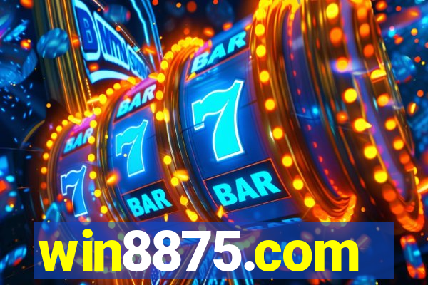 win8875.com
