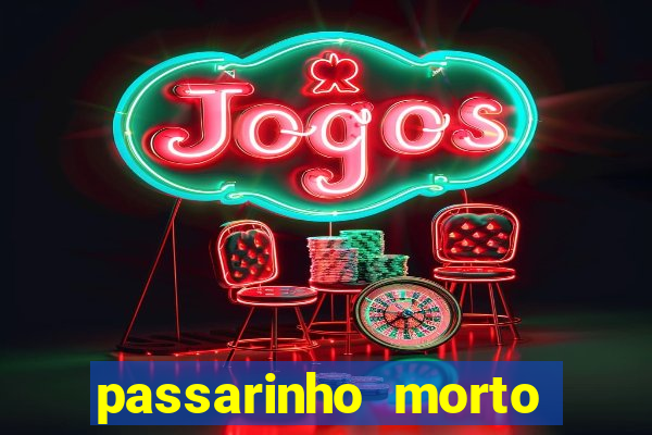 passarinho morto significado espiritual