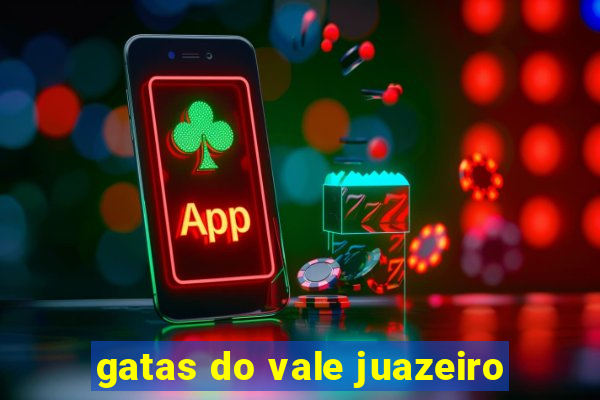 gatas do vale juazeiro
