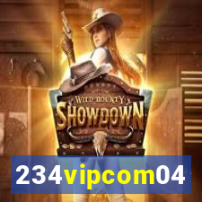 234vipcom04