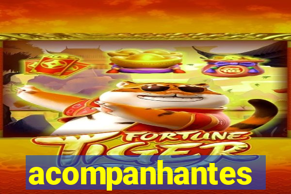 acompanhantes baratas na baixada fluminense