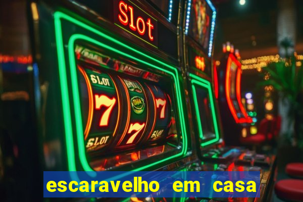 escaravelho em casa significado espiritual