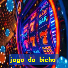 jogo do bicho tipos de apostas