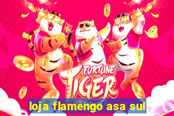 loja flamengo asa sul