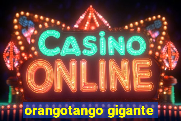 orangotango gigante