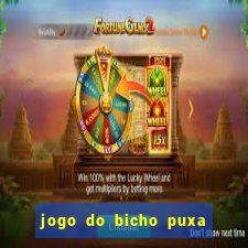 jogo do bicho puxa de dona maria
