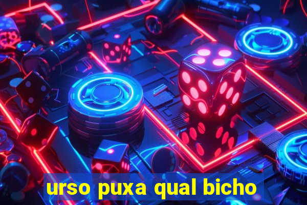 urso puxa qual bicho