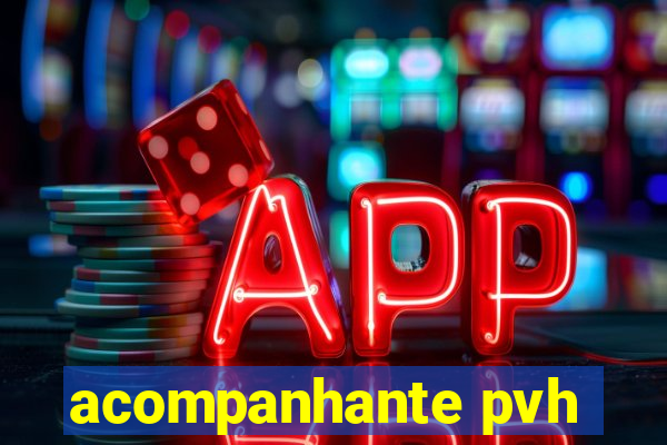acompanhante pvh