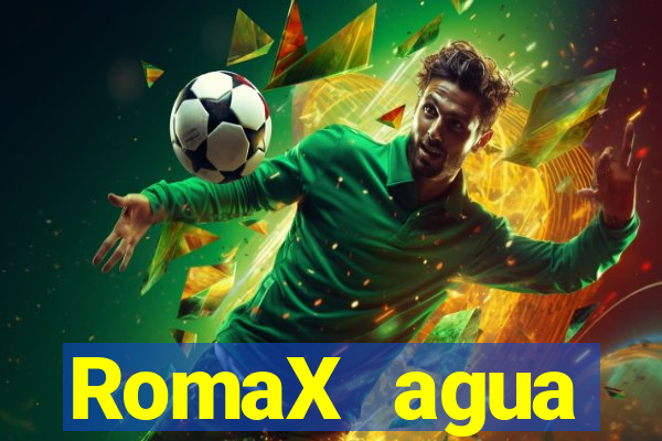 RomaX agua sanitaria fispq agua sanitaria romax