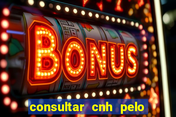consultar cnh pelo cpf sp