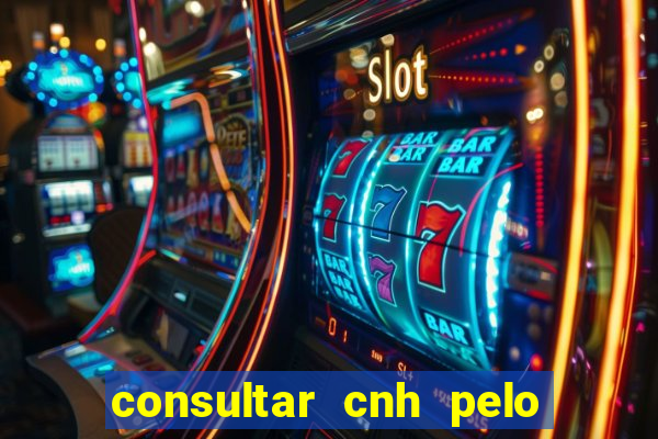 consultar cnh pelo cpf sp