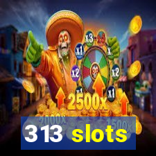 313 slots