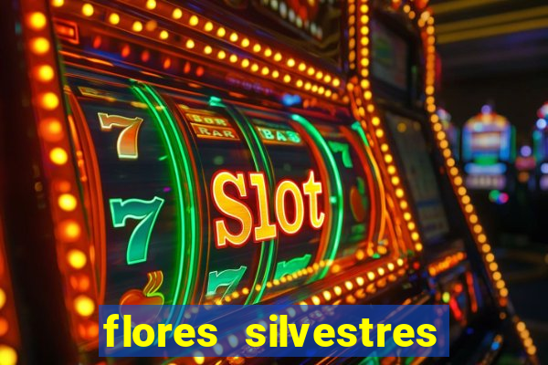 flores silvestres desbravadores desbravadores 25 flores silvestres e seus nomes