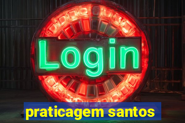 praticagem santos