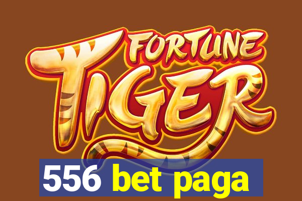 556 bet paga