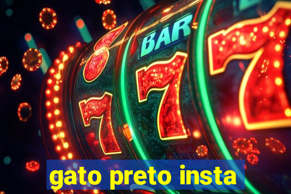 gato preto insta
