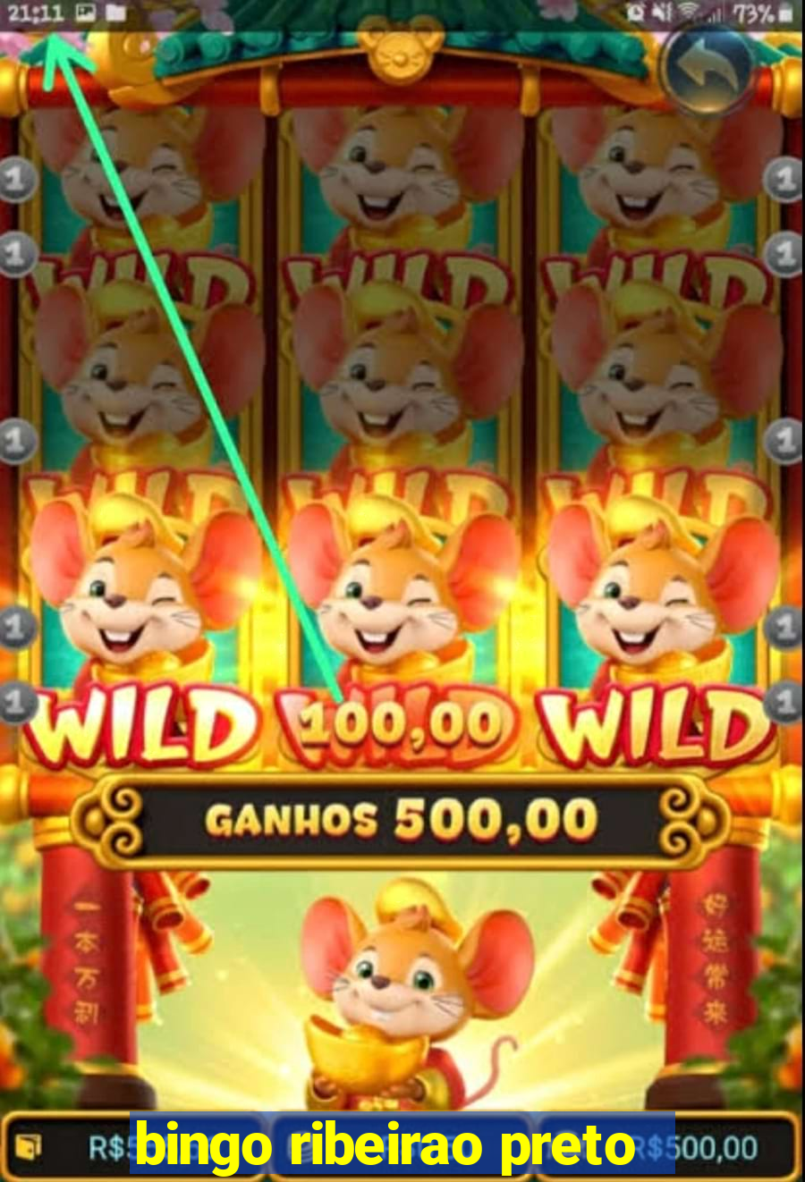 bingo ribeirao preto