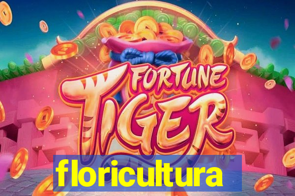 floricultura juazeiro bahia