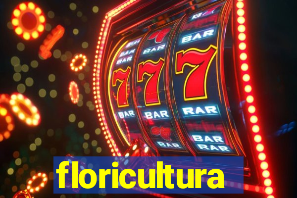 floricultura juazeiro bahia